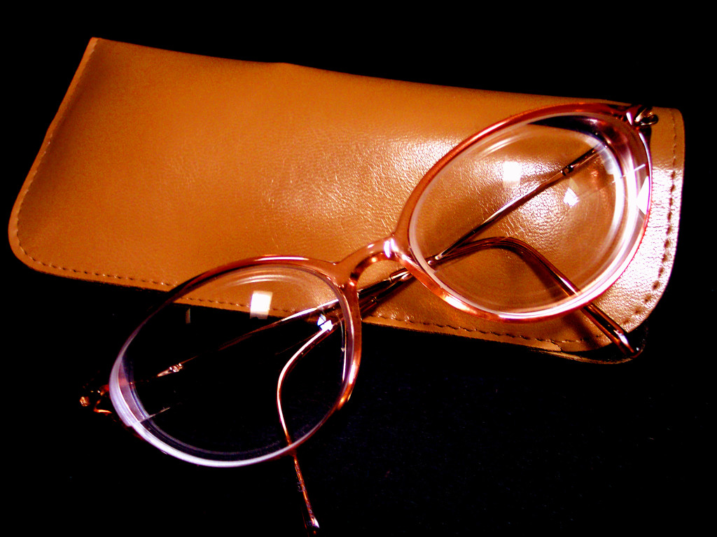 glasses case