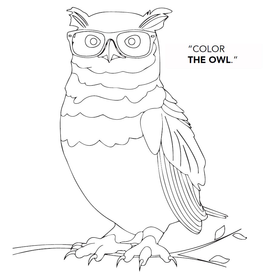 Color the Owl blank